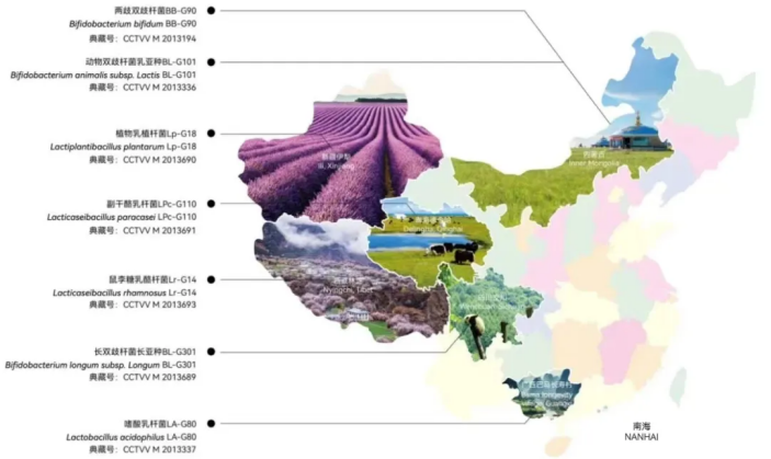 截圖-20240327175645