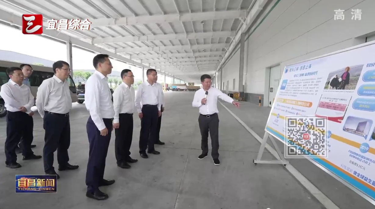 截圖-20240513154848