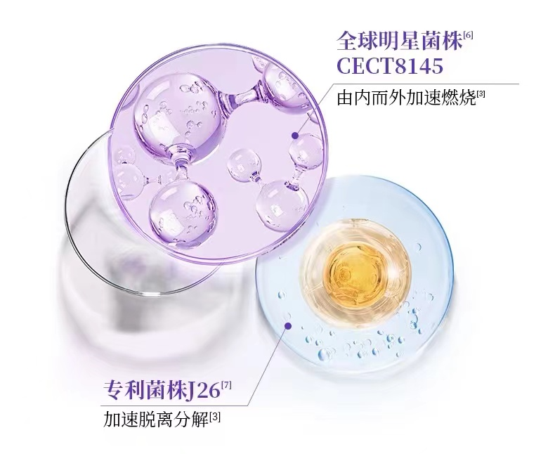 截圖-20240701093009