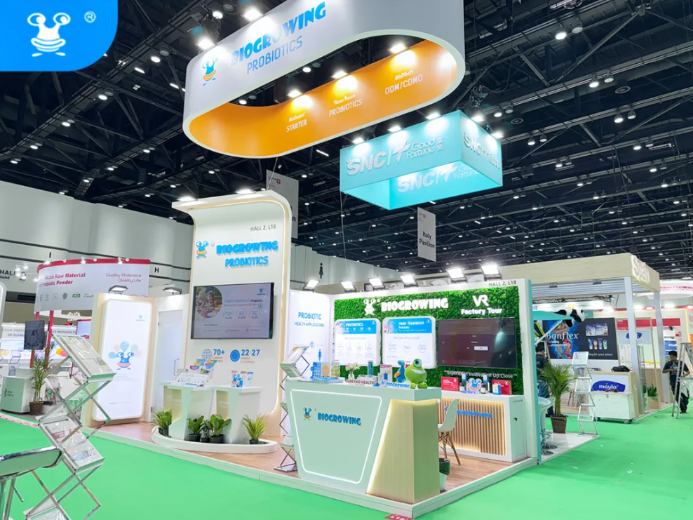 截圖-20241203170159