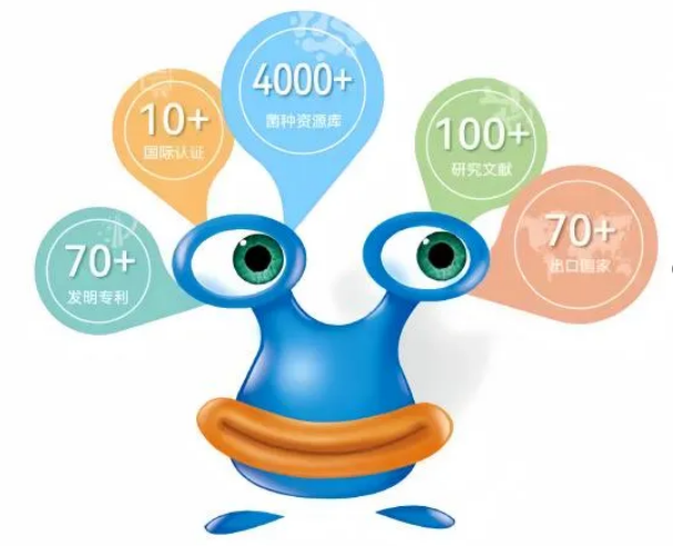 截圖-20241203104951