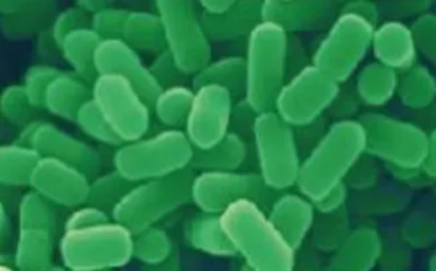 截圖-20241203104712